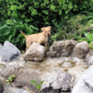 Meet your Posher, Sterling